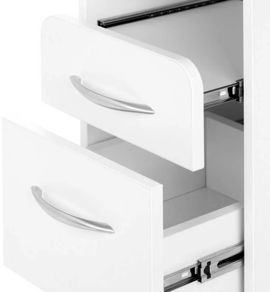 Activeshop Kosmetologinis vežimėlis Pro 969 (4 stalčiai)