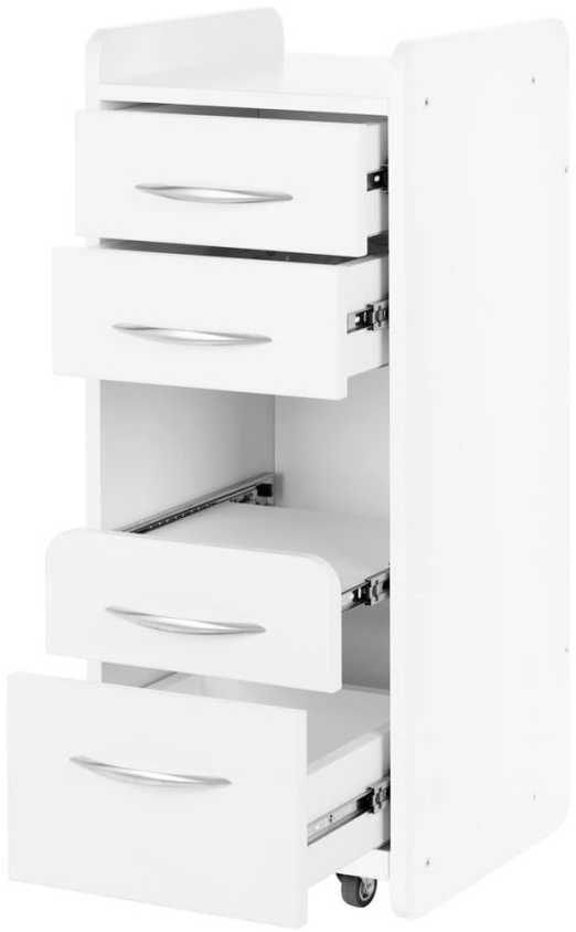 Activeshop Kosmetologinis vežimėlis Pro 969 (4 stalčiai)