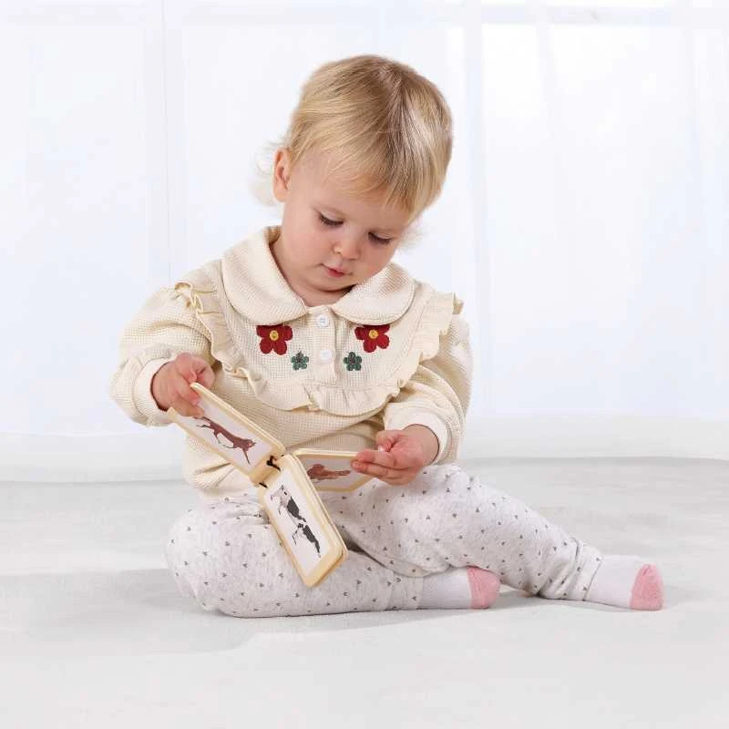 Montessori edukacinis rinkinys WOOPIE Žalias XXL 6in1 7–8 mėn