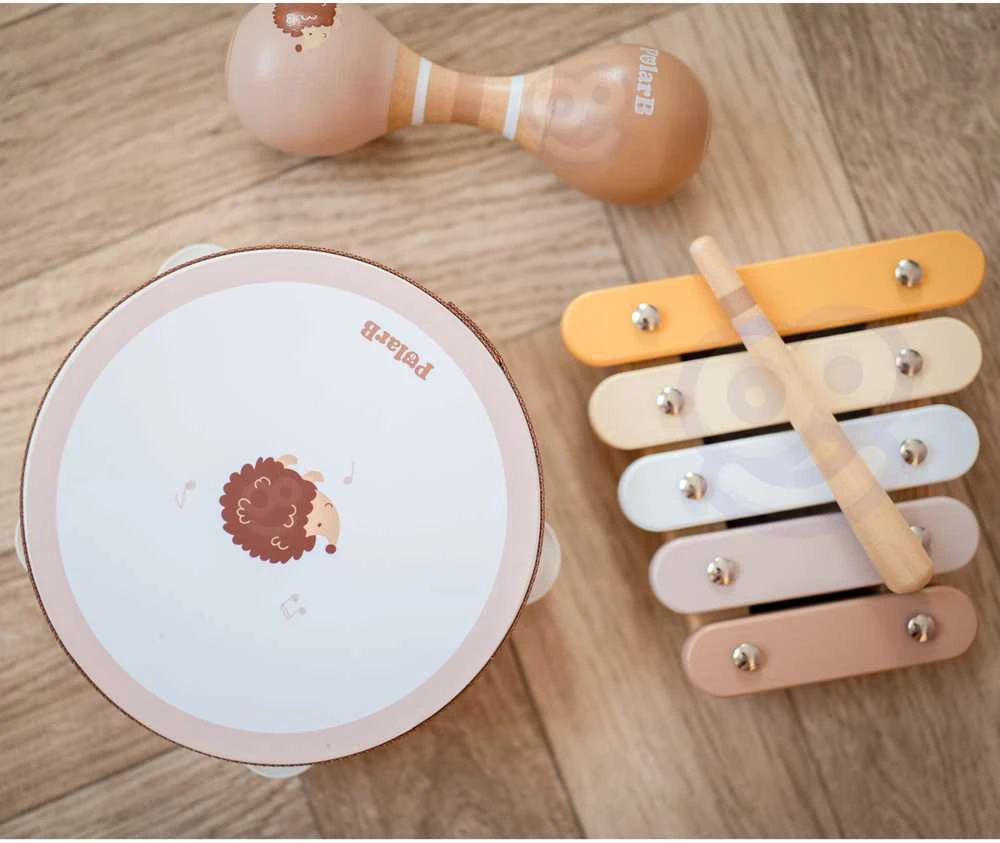 Viga Toys VIGA Muzikiniai Instrumentai Rinkinys PolarB Žalias
