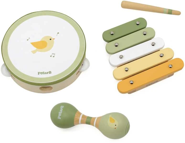 Viga Toys VIGA Muzikiniai Instrumentai Rinkinys PolarB Žalias