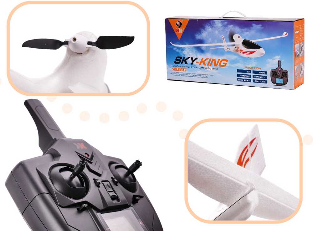 WLtoys Sky King F959S 2.4GHz RC lėktuvas