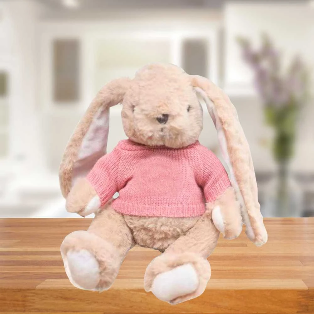 Lean Toys Pliušinis zuikutis su rožiniu megztiniu, 22 cm