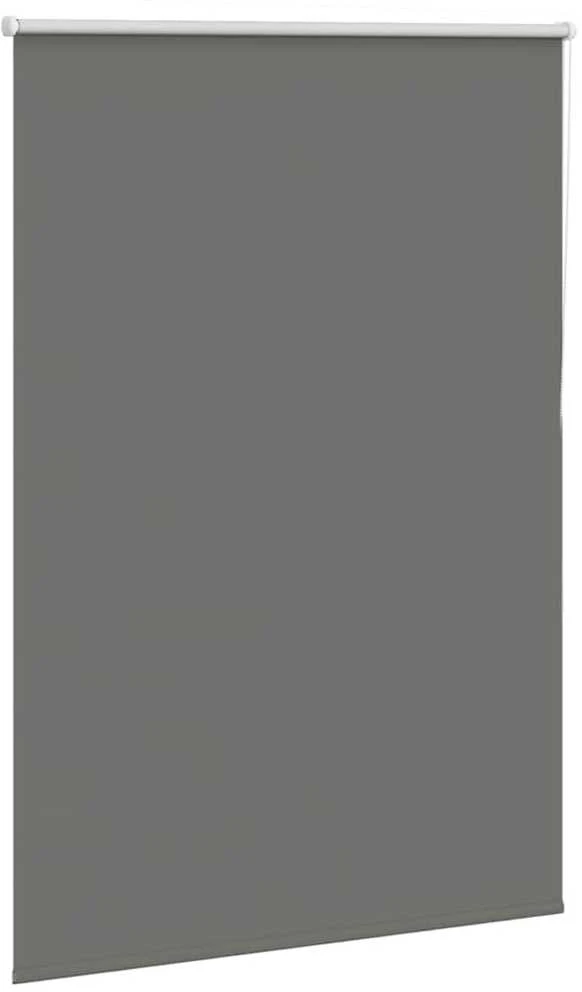 roletas Pilka 95x150 cm audinio plotis 90,7 cm poliesteris