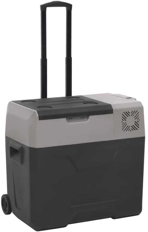 Šaltdėžė su ratukais ir adapteriu, juoda ir pilka, 40l, PP