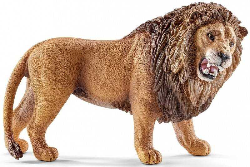 Schleich figūrėlė Riaumojantis liūtas