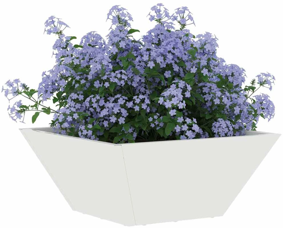 Sodo vazonas Balta 35 x 35 x 15 cm Šaltai valcuotas plienas