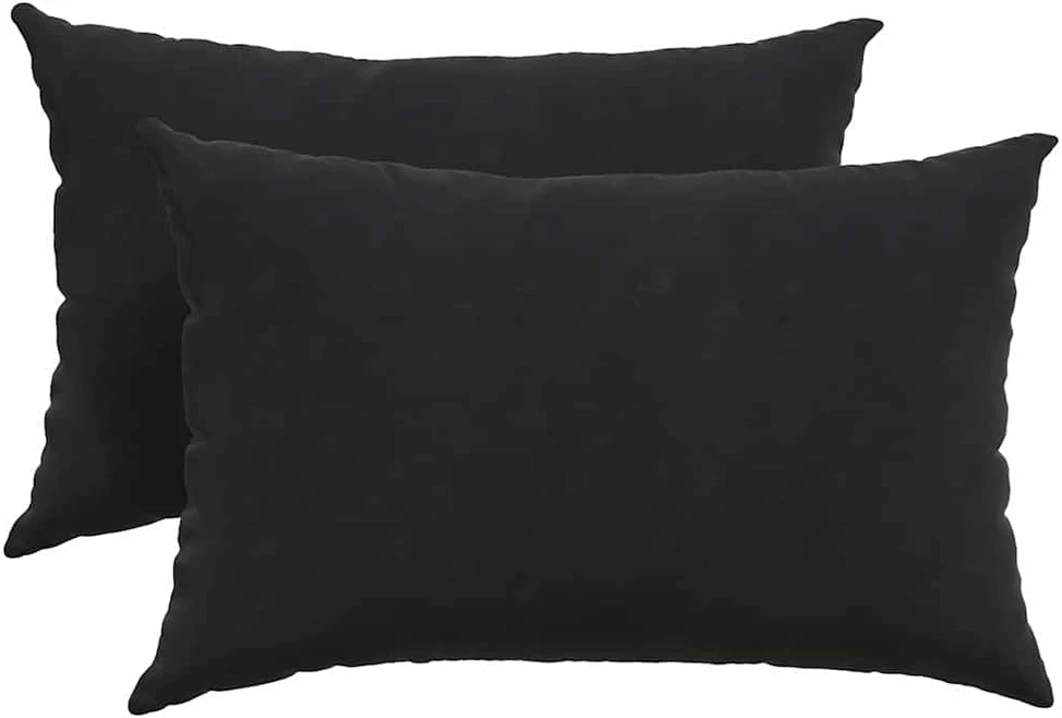 Sofa Pagalvės 2 pcs Juoda 60 x 40 cm Kordūrinis audinys