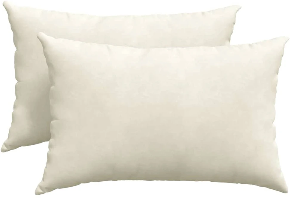 Sofa Pagalvės 2 pcs Kreminė 60 x 40 cm Kordūrinis audinys
