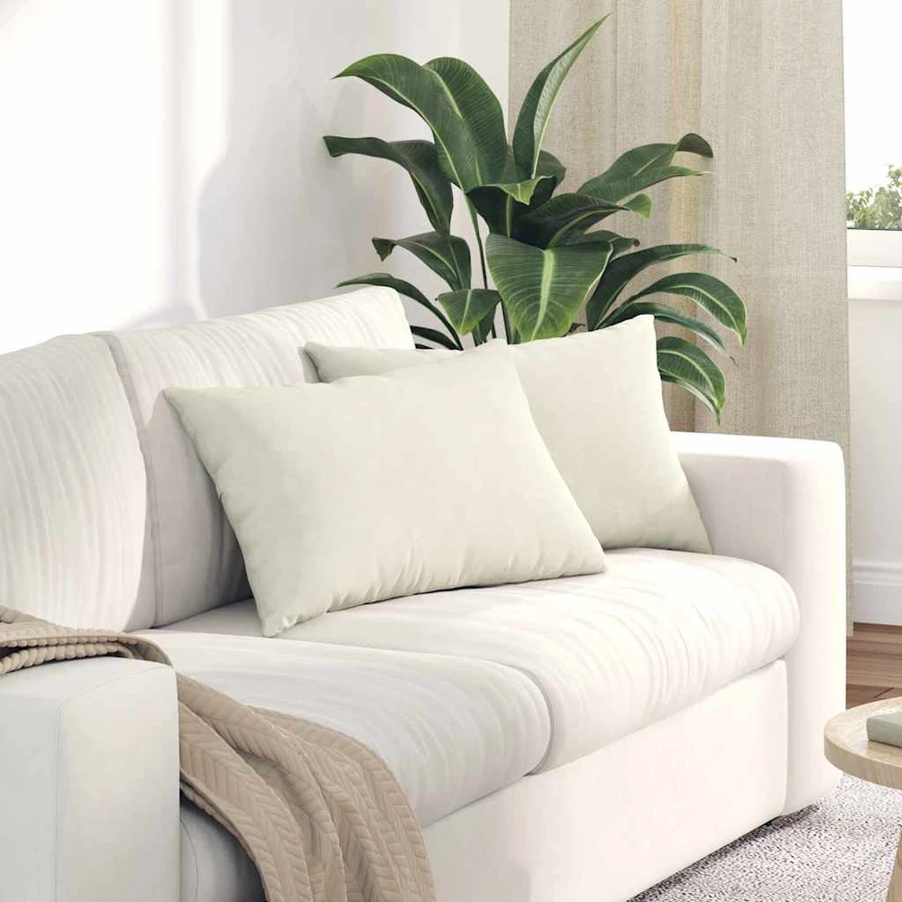 Sofa Pagalvės 2 pcs Kreminė 60 x 40 cm Kordūrinis audinys