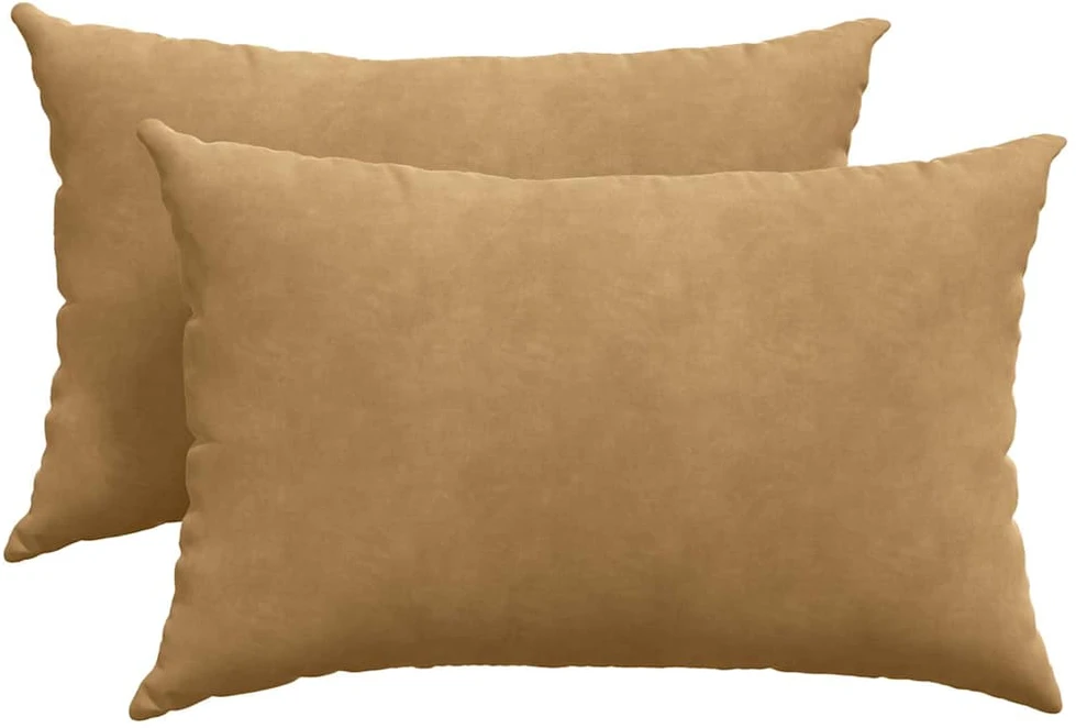 Sofa Pagalvės 2 pcs Ruda 60 x 40 cm Kordūrinis audinys