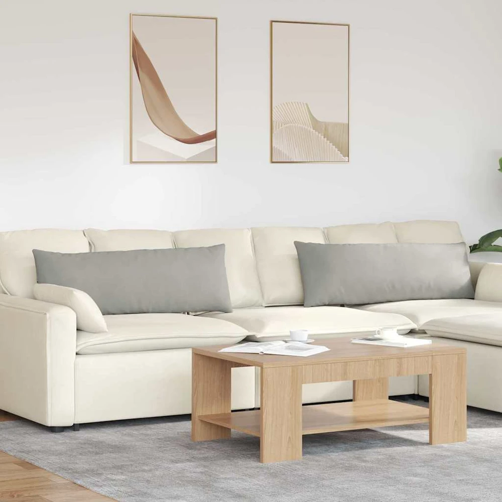 Sofa Pagalvės 2 vnt. audinys Šviesiai pilka 120 x 40 cm