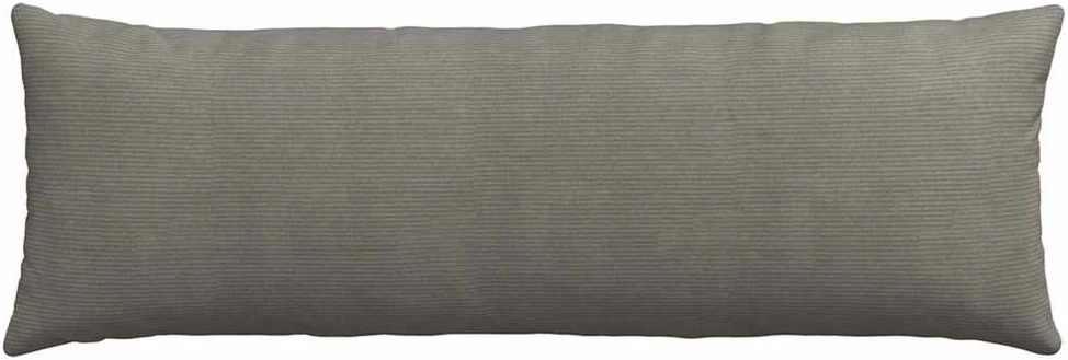 Sofa Pagalvės 2 pcs Šviesiai pilka 120 x 40 cm