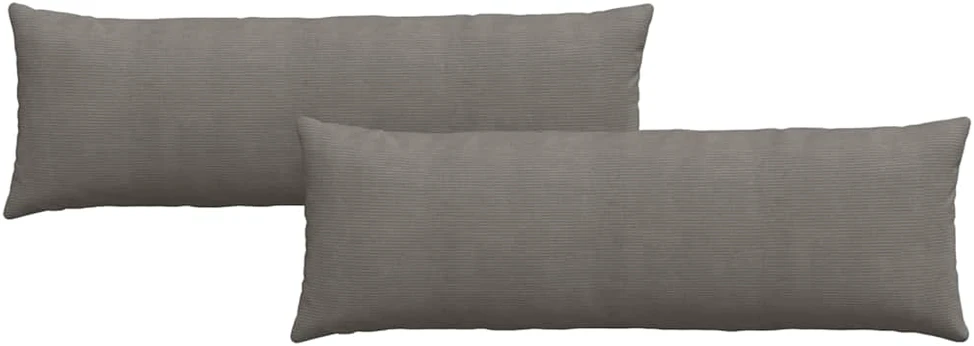 Sofa Pagalvės 2 pcs Šviesiai pilka 120 x 40 cm