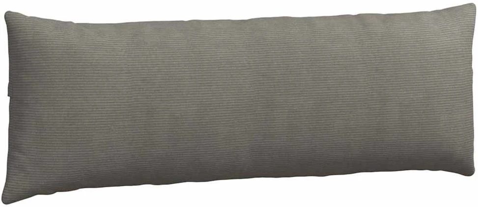 Sofa Pagalvės 2 pcs Šviesiai pilka 120 x 40 cm