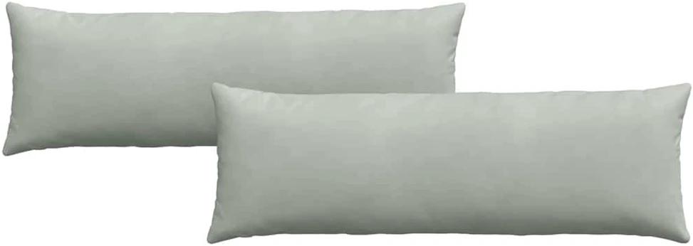 Sofa Pagalvės 2 pcs Šviesiai pilka 120 x 40 cm