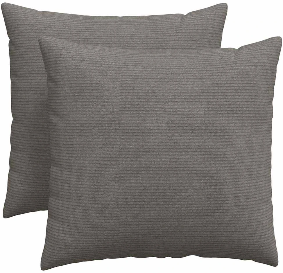 Sofa Pagalvės 2 pcs Šviesiai pilka 50 x 50 cm