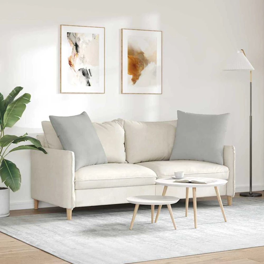 Sofa Pagalvės 2 vnt. audinys Šviesiai pilka 60 x 60 cm