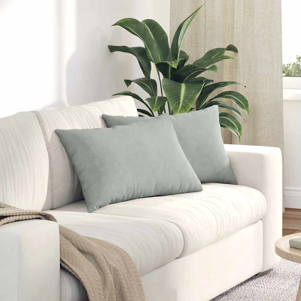 Sofa Pagalvės 2 pcs Šviesiai pilka 60 x 40 cm