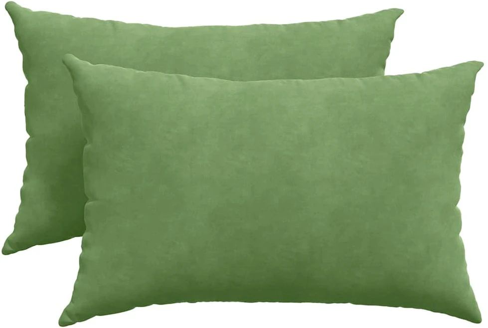 Sofa Pagalvės 2 pcs Šviesiai žalia 60 x 40 cm