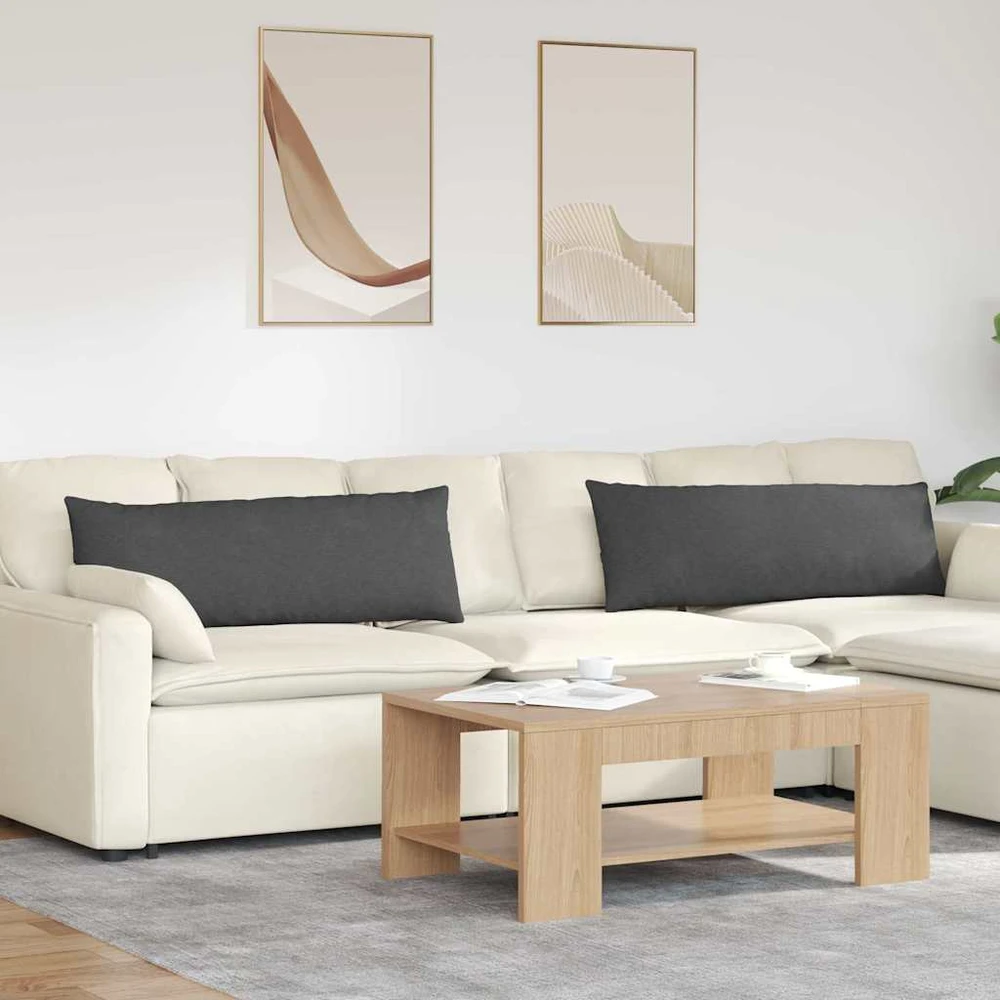 Sofa Pagalvės 2 pcs Tamsiai pilka 120 x 40 cm