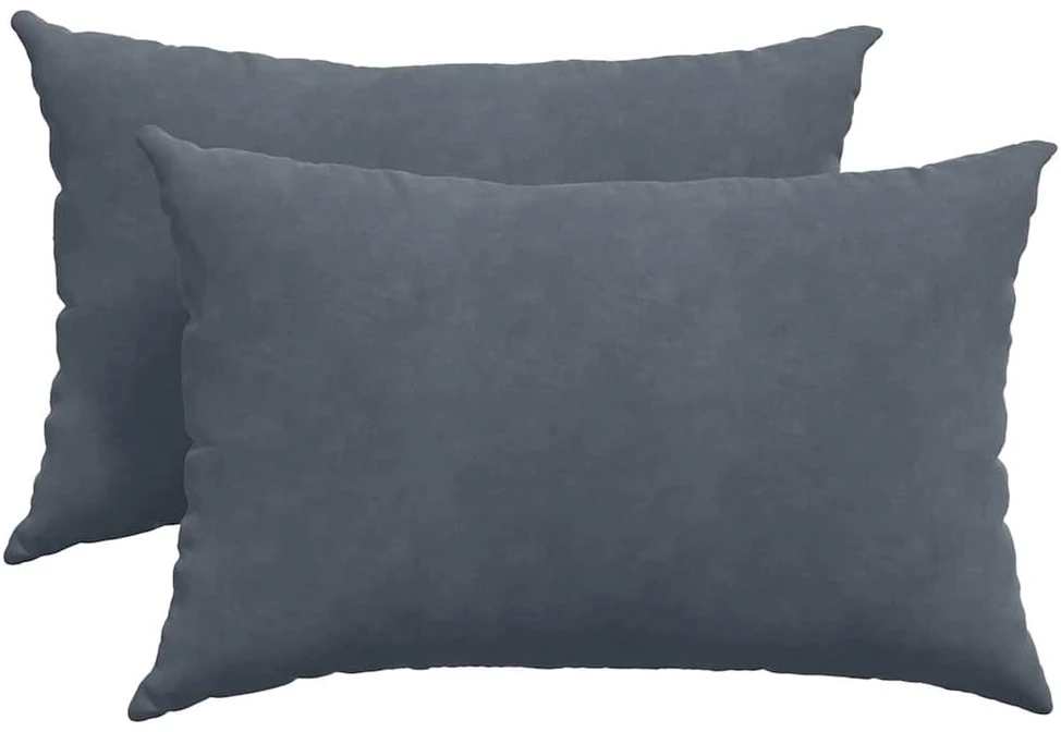 Sofa Pagalvės 2 pcs Tamsiai pilka 60 x 40 cm Kordūrinis audinys