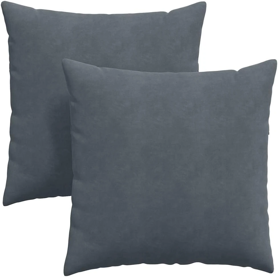 Sofa Pagalvės 2 pcs Tamsiai pilka 60 x 60 cm Kordūrinis audinys