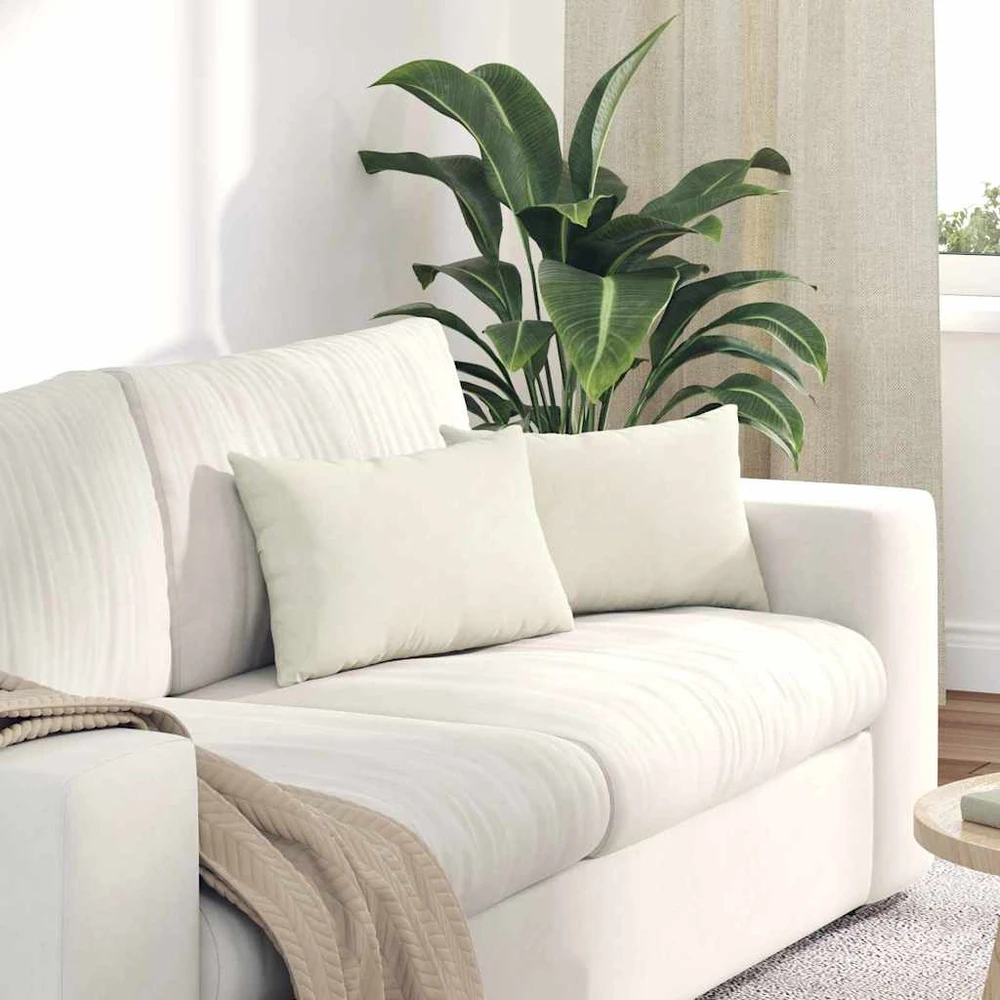 Sofa Pagalvės 2 pcs Kreminė 50 x 30 cm Kordūrinis audinys