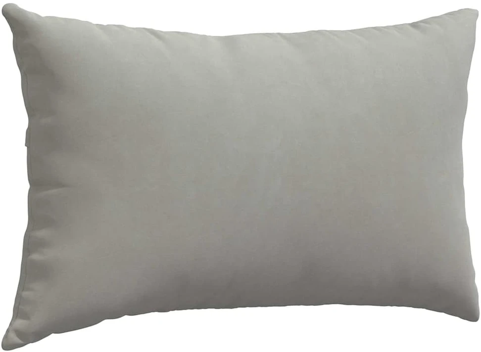 Sofa Pagalvės 2 vnt. audinys Šviesiai pilka 50 x 30 cm
