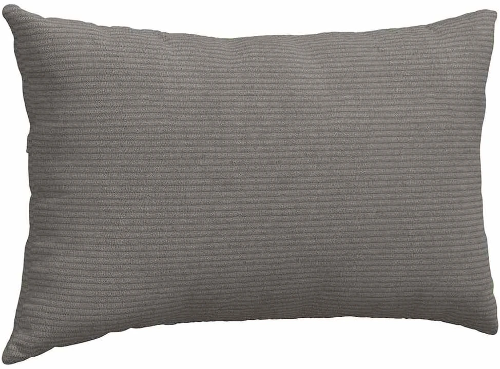Sofa Pagalvės 2 vnt. Šviesiai pilka 50 x 30 cm