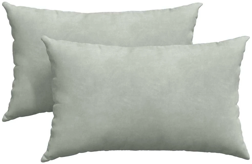 Sofa Pagalvės 2 pcs Šviesiai pilka 50 x 30 cm