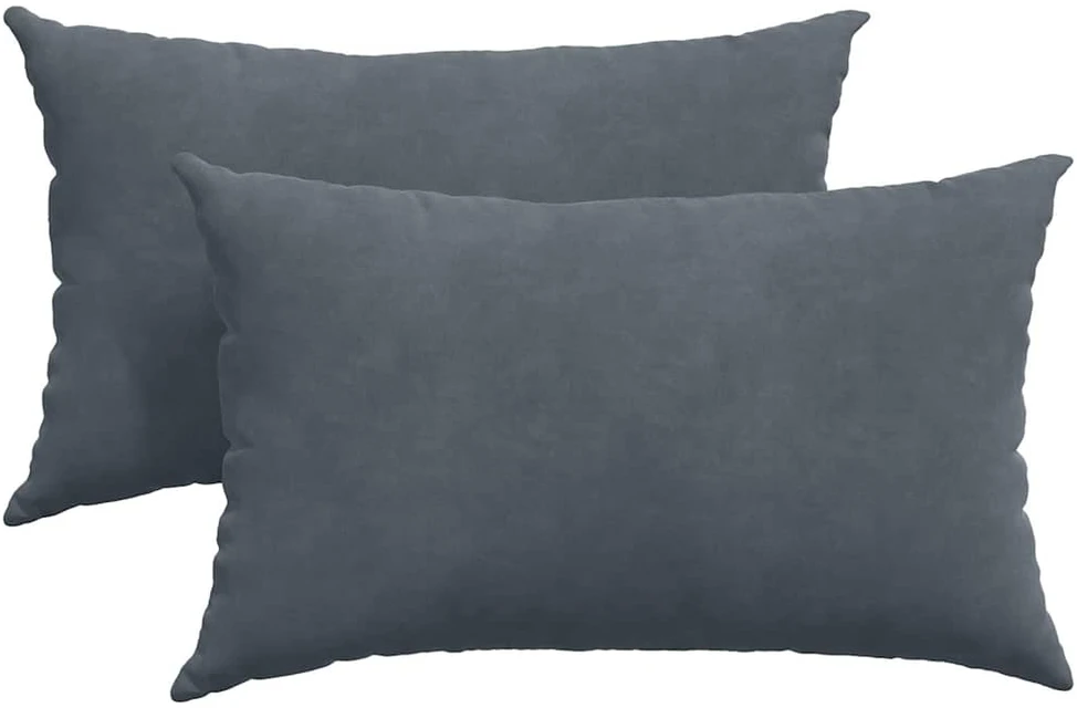 Sofa Pagalvės 2 pcs Tamsiai pilka 50 x 30 cm Kordūrinis audinys