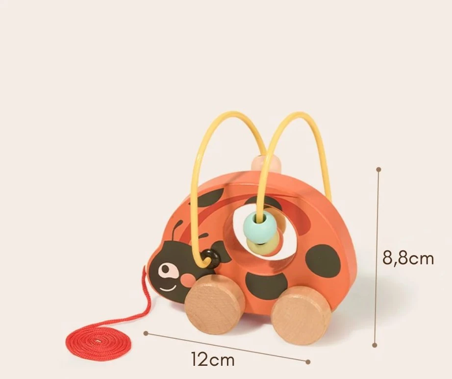 Tooky Toys TOOKY TOY 3in1 lavinamasis žaidimų rinkinys Boružėlė