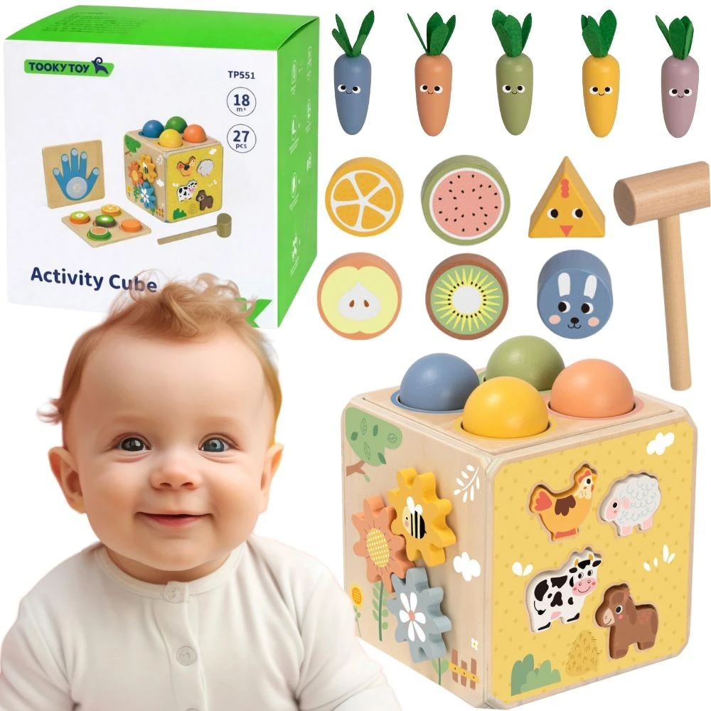 Tooky Toys TOOKY TOY medinis spyruoklinis lavinamasis kubas 5 in 1