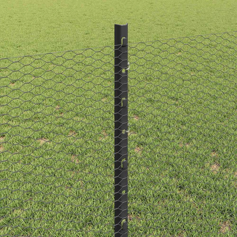 Hexagonal Fence with Post 100 x 0,8 m PVC dengtas plienas Pilka