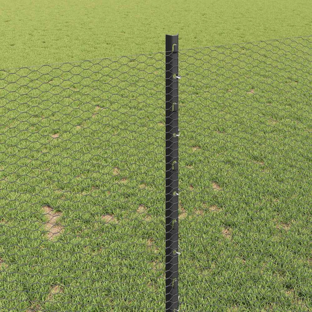Hexagonal Fence with Post 50 x 1 m PVC dengtas plienas Pilka