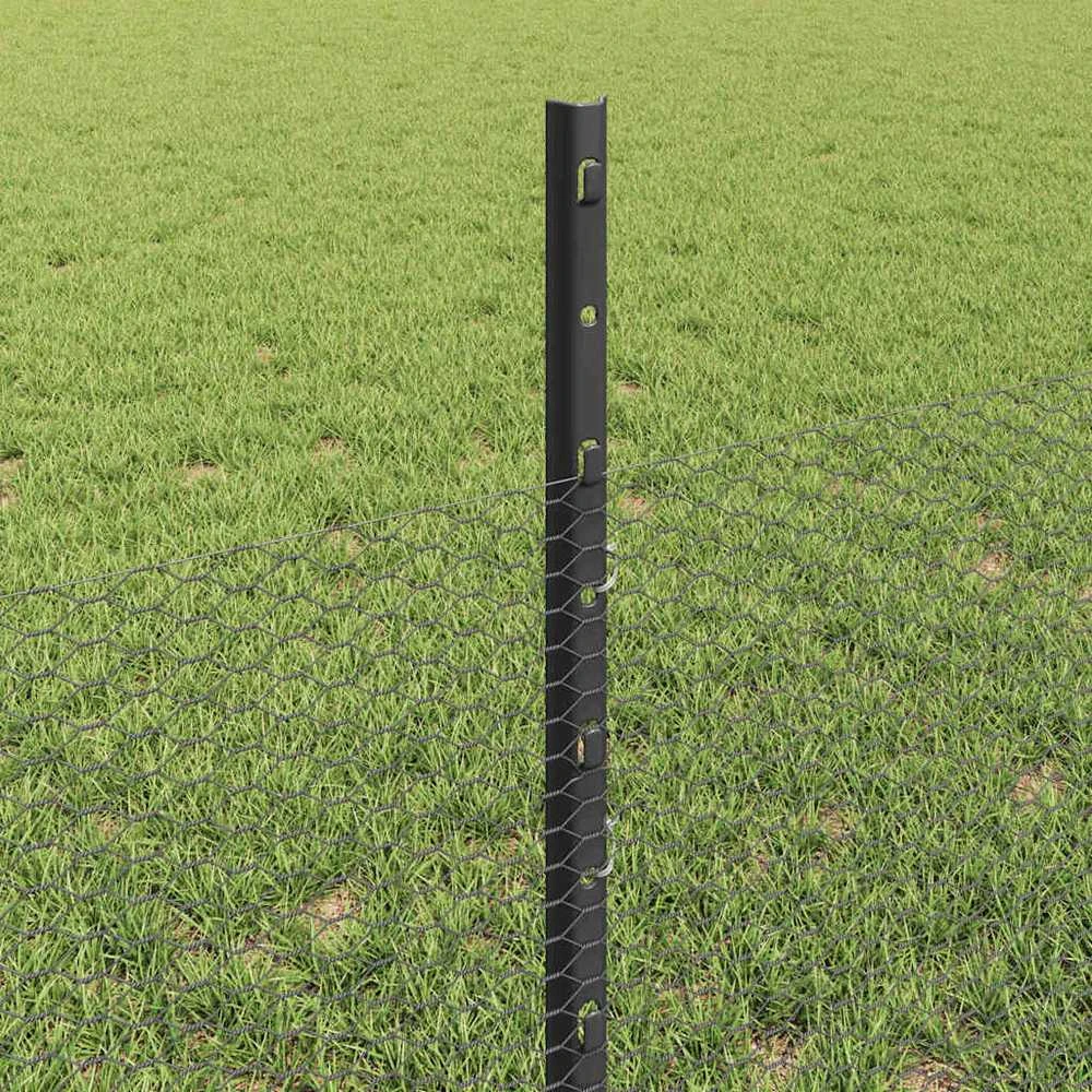 Hexagonal Fence with Post 100 x 0,5 m PVC dengtas plienas Pilka