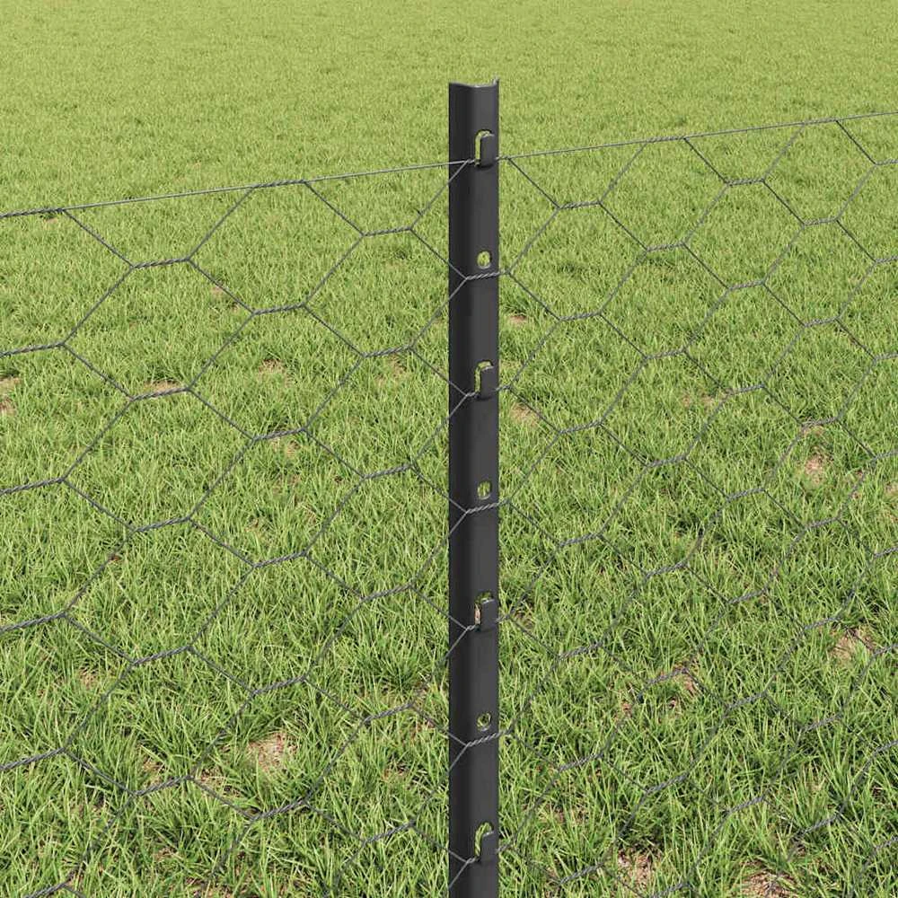 Hexagonal Fence with Post 100 x 0,6 m PVC dengtas plienas Pilka