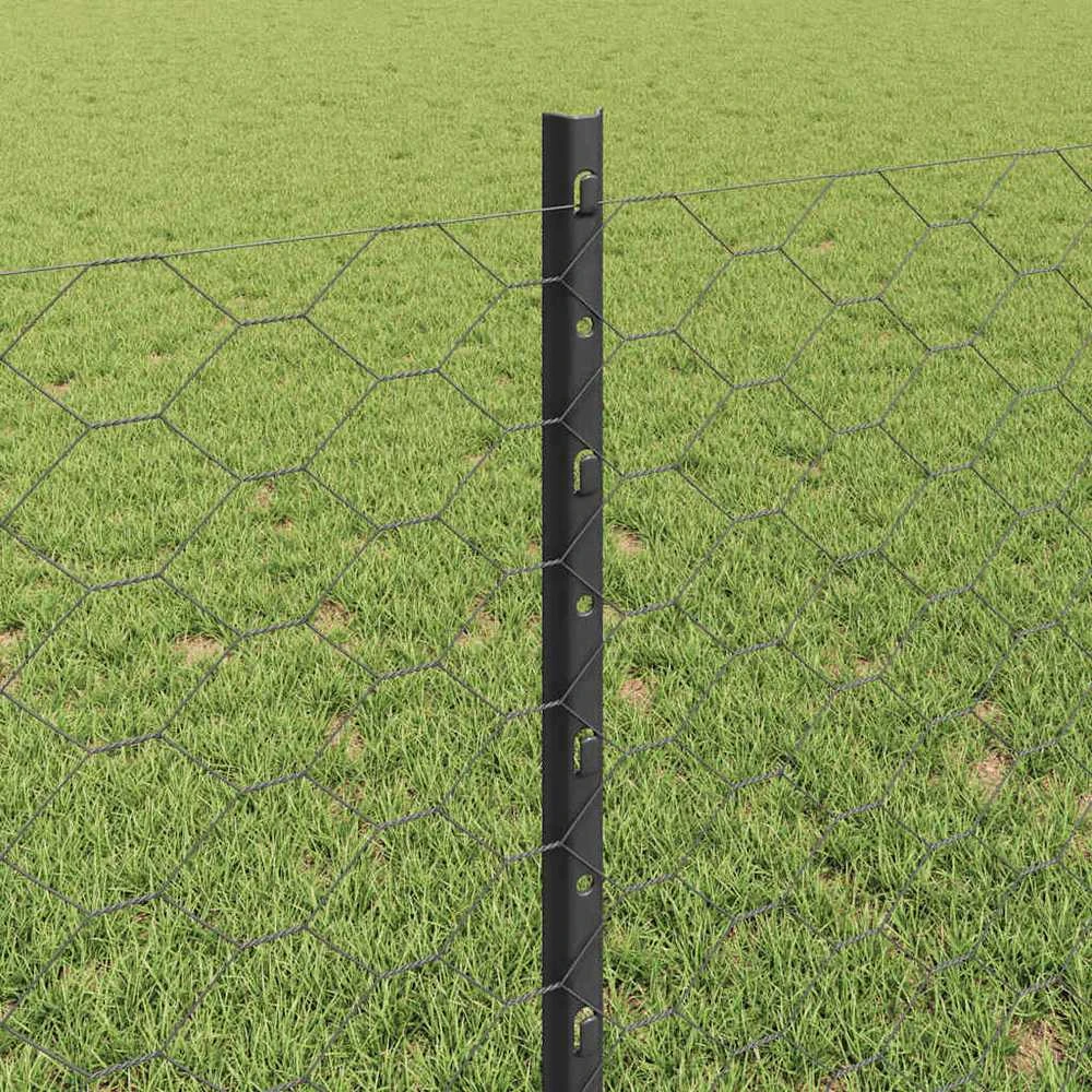 Hexagonal Fence with Post 100 x 0,8 m PVC dengtas plienas Pilka