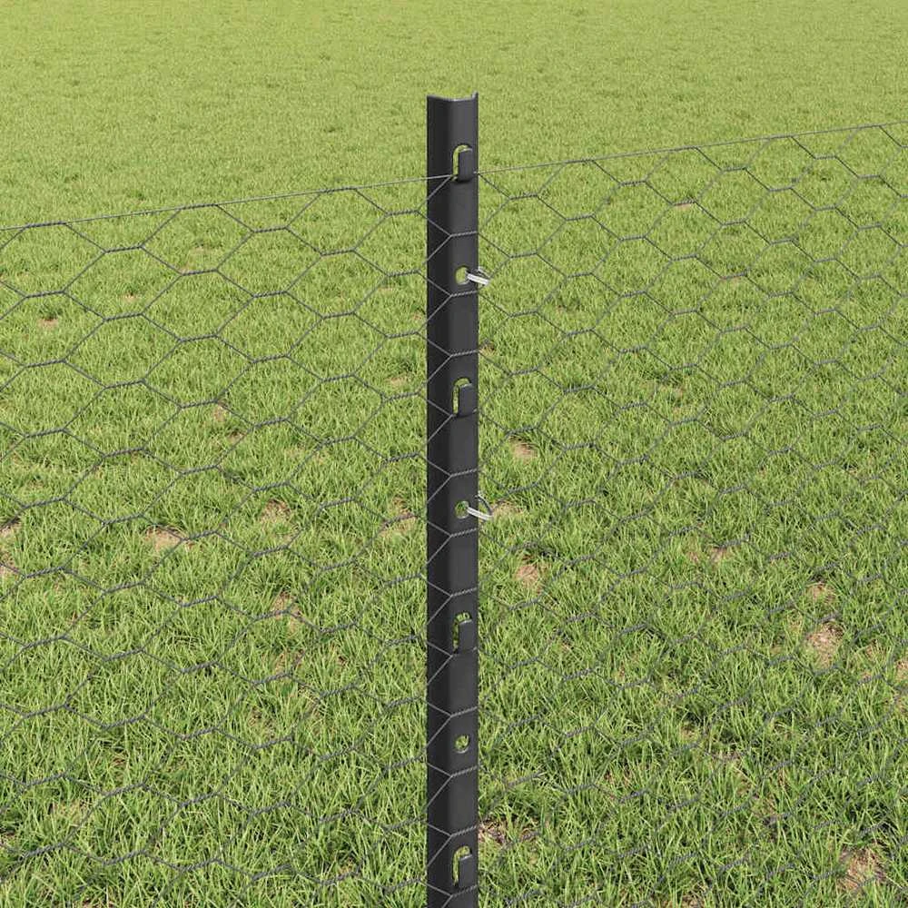 Hexagonal Fence with Post 100 x 0,8 m PVC dengtas plienas Pilka