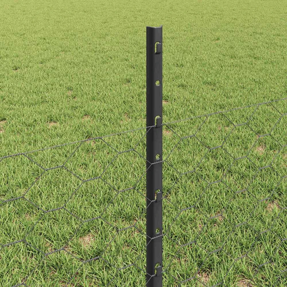 Hexagonal Fence with Post 100 x 0,5 m PVC dengtas plienas Pilka