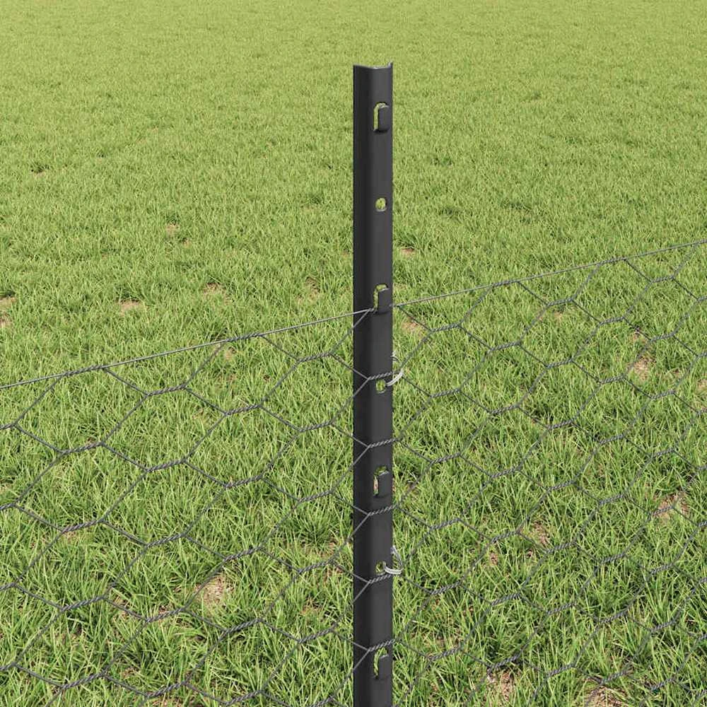 Hexagonal Fence with Post 100 x 0,5 m PVC dengtas plienas Pilka
