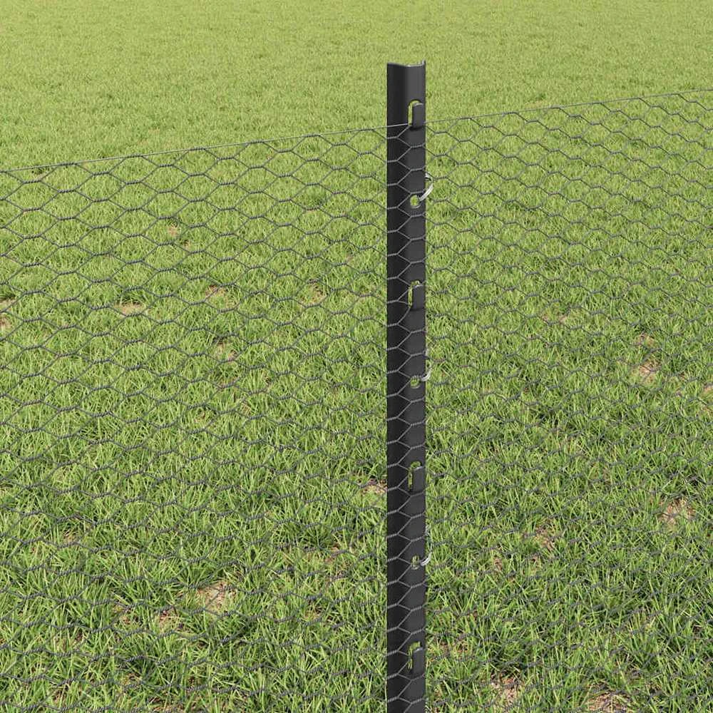 Hexagonal Fence with Post 100 x 0,6 m PVC dengtas plienas Pilka