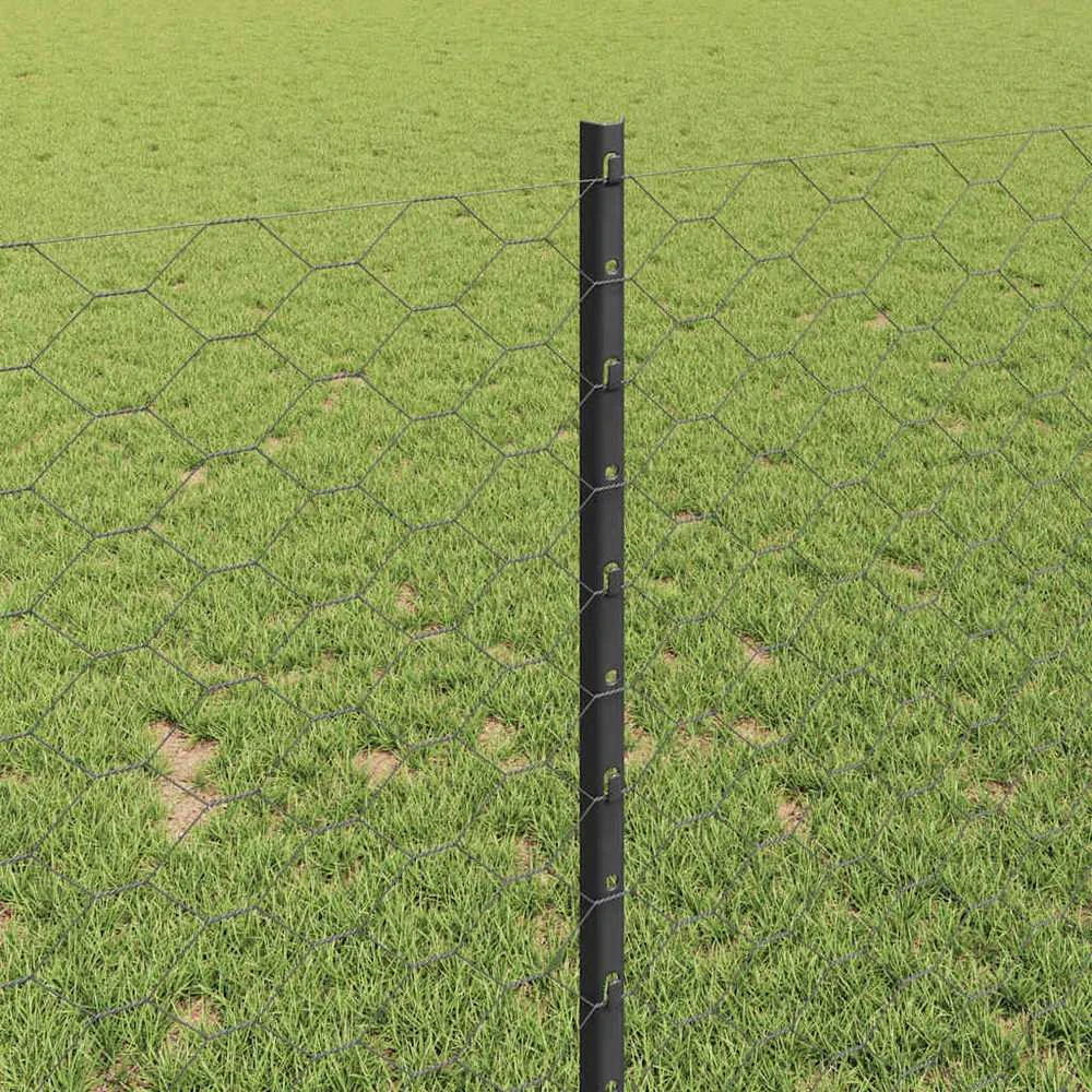 Hexagonal Fence with Post 50 x 1 m PVC dengtas plienas Pilka