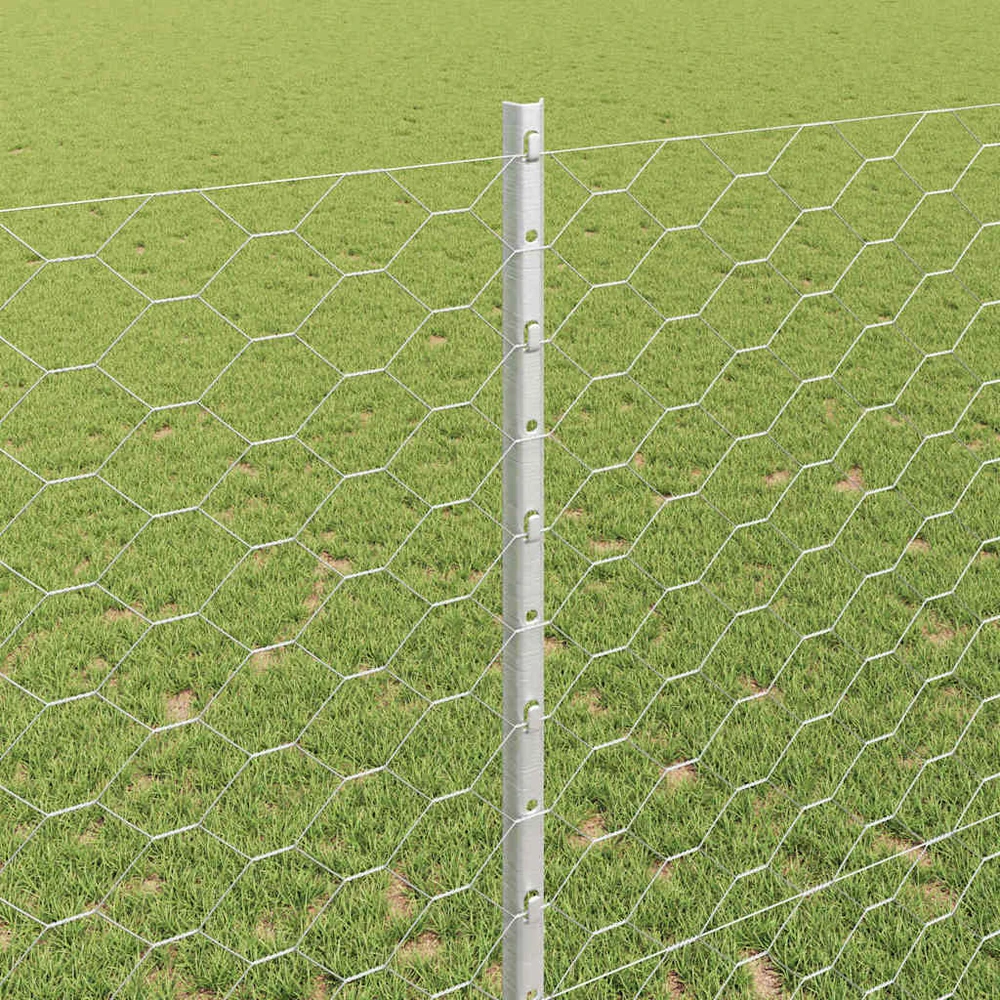 Hexagonal Fence with Post 50 x 1,4 m Galvanizuotas plienas