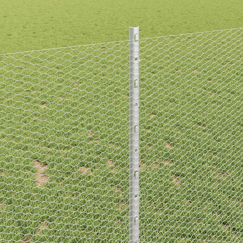 Hexagonal Fence with Post 100 x 1 m Galvanizuotas plienas