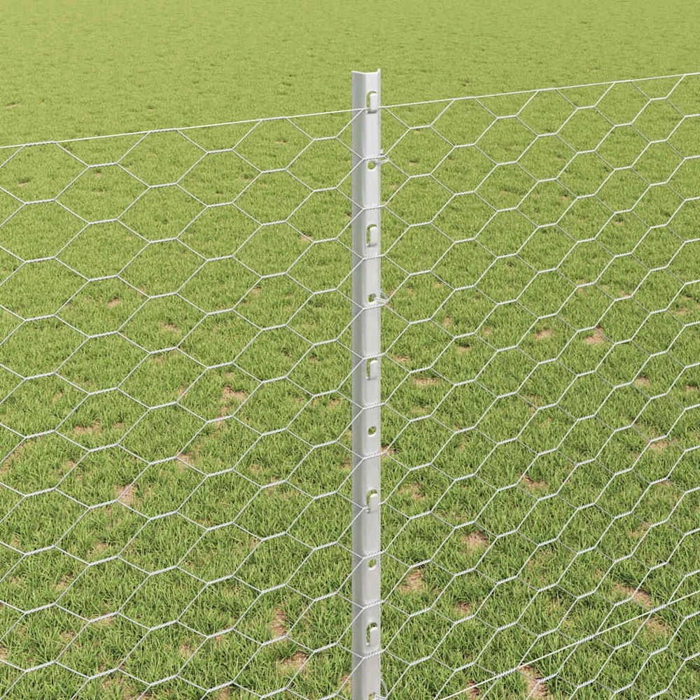 Hexagonal Fence with Post 50 x 1,4 m Galvanizuotas plienas
