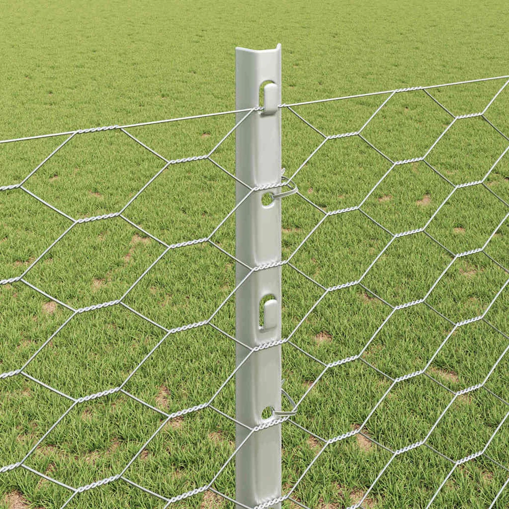 Hexagonal Fence with Post 50 x 1,2 m Galvanizuotas plienas
