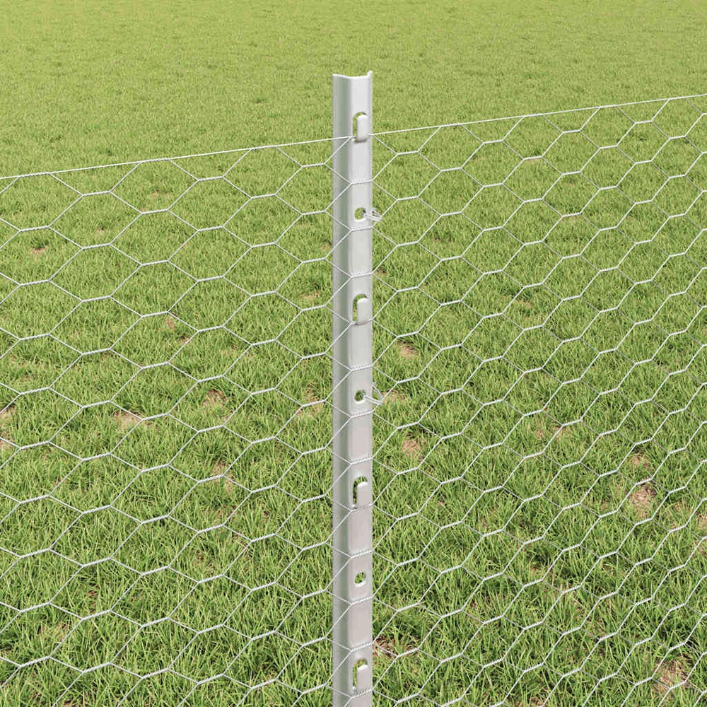 Hexagonal Fence with Post 50 x 0,8 m Galvanizuotas plienas