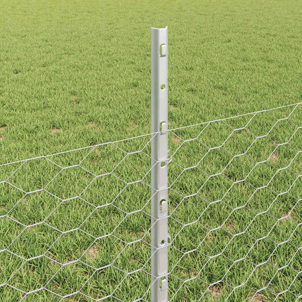 Hexagonal Fence with Post 100 x 0,5 m Galvanizuotas plienas
